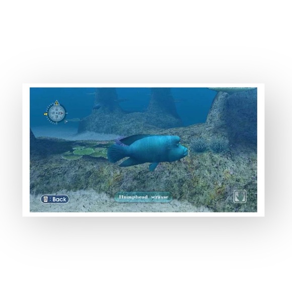 HTF: Nintendo Wii ๐ Endless Ocean: Dive Discover Dream Game ๐ Original Case ๐ - Picture 10 of 14